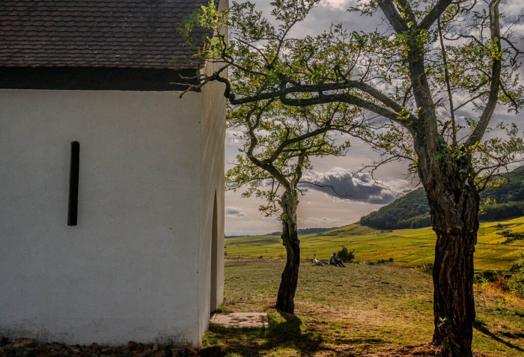 Orschwihr - Ausblick mit Kirche