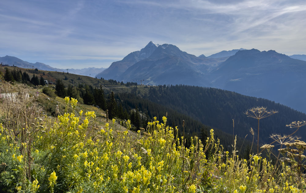 Kl. St. Bernhard - Ausblick Richtung la Rosière