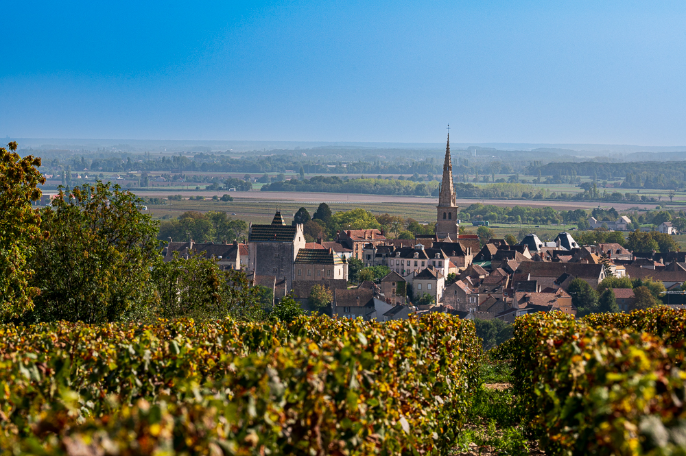 Meursault - Blick aus den Weinbergen