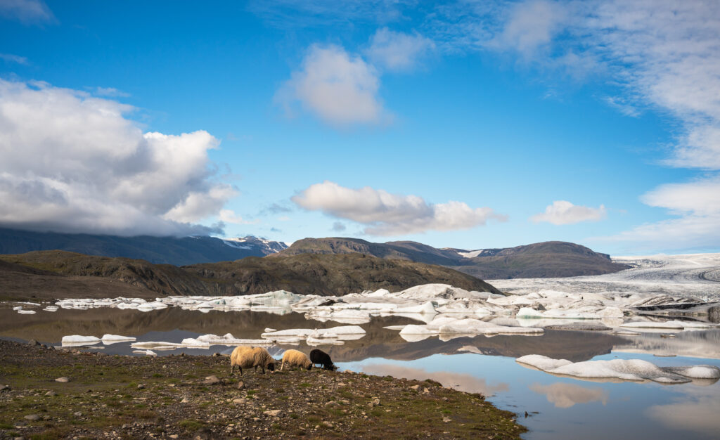 Hoffellsjökull