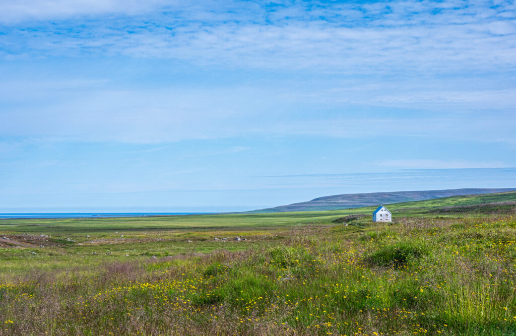 Weite Landschaft - fast unberührte Natur