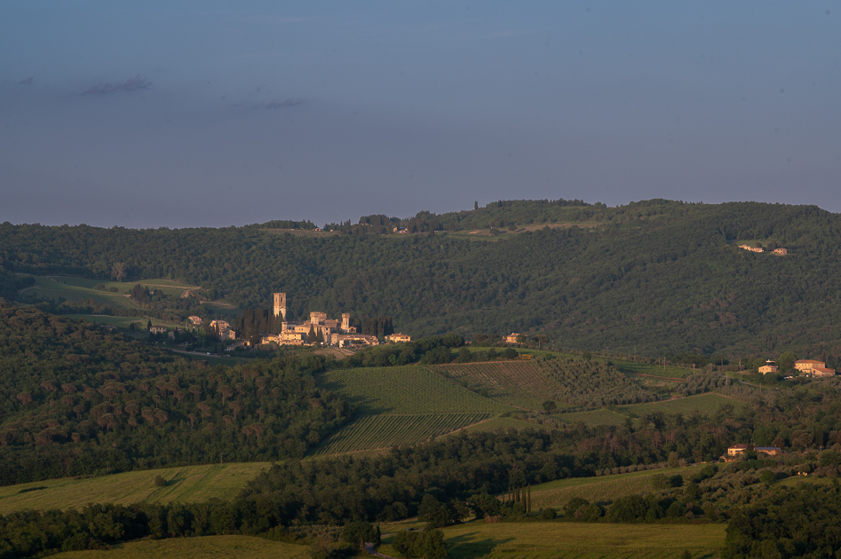 Ausblick vom Stellplatz beim Weingut