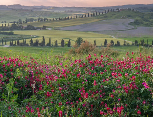 Crete Senesi