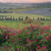 Crete Senesi