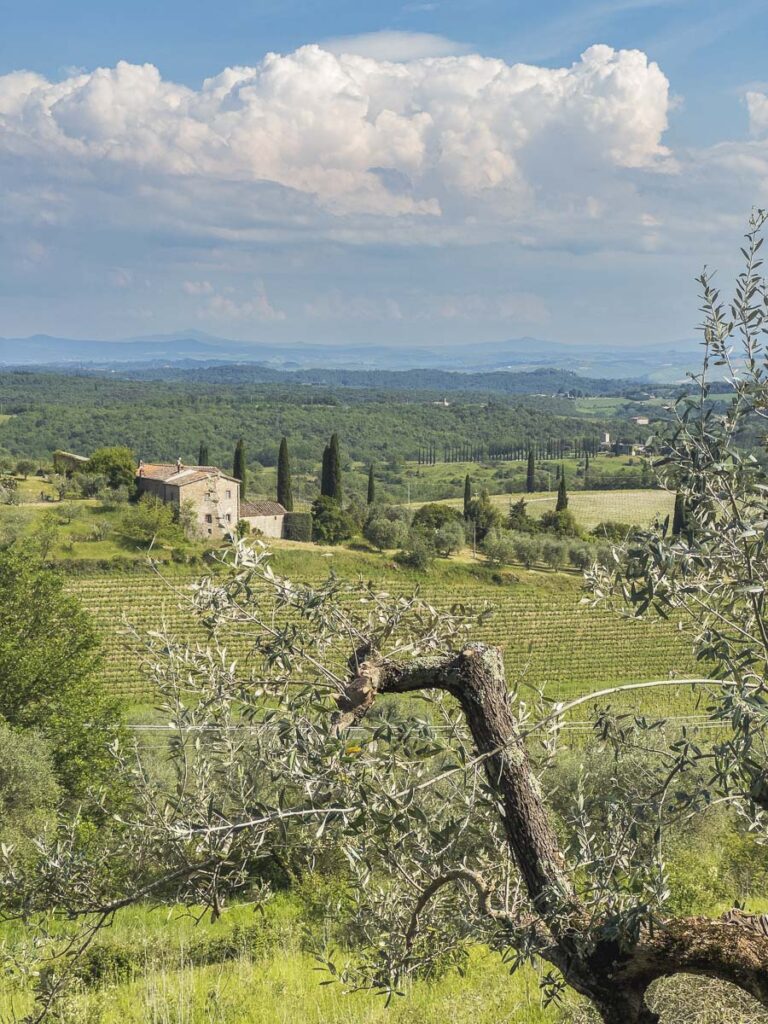 Monti - Blick in die Landschaft