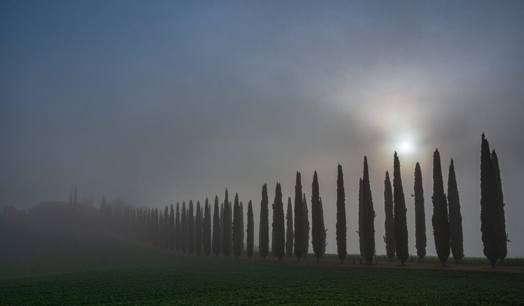 Poggio Covili im Morgennebel