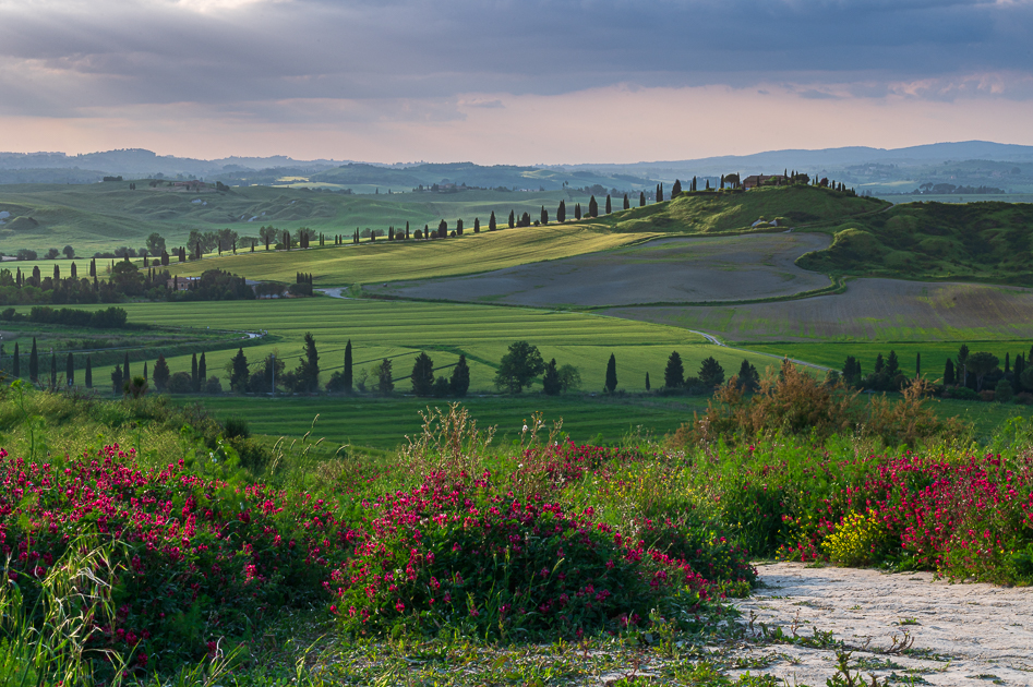 Punto panoramico - Ausblick auf Crete Senesi