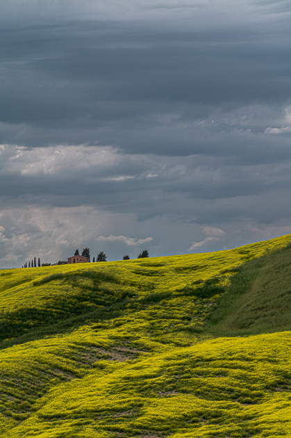 Toskana Crete Senesi - Rapsfeld