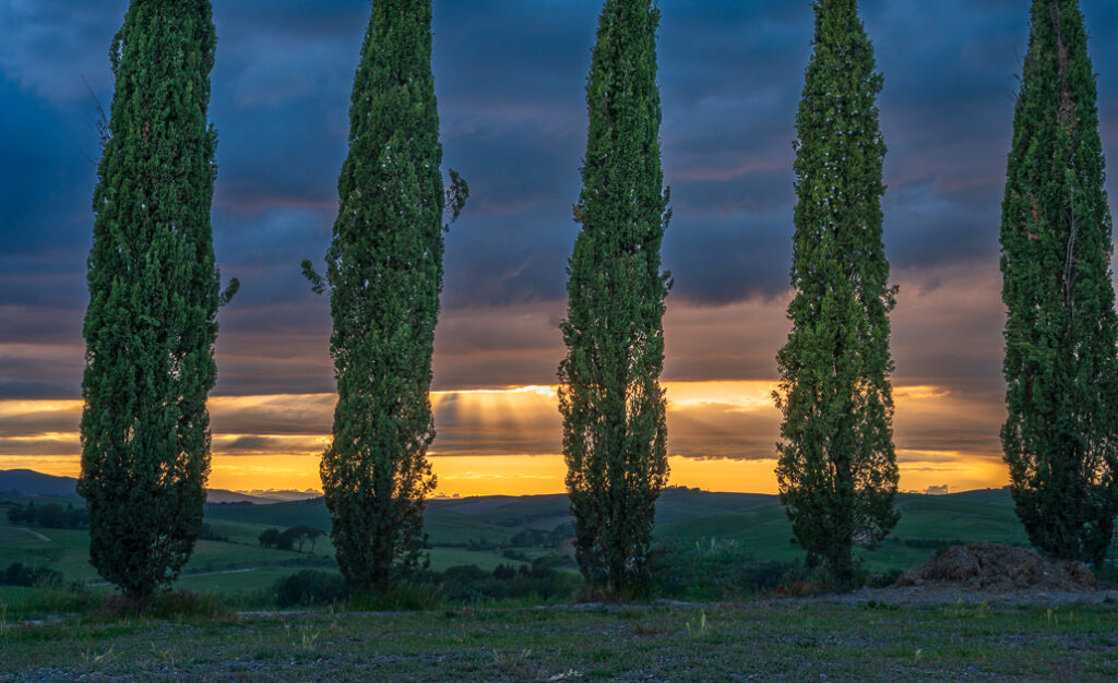 Val d'Orcia - Zypressen bei Sonnenuntergang