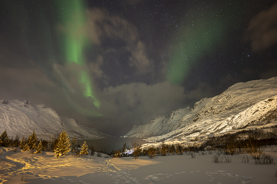 Nordlicht über dem Ersfjord